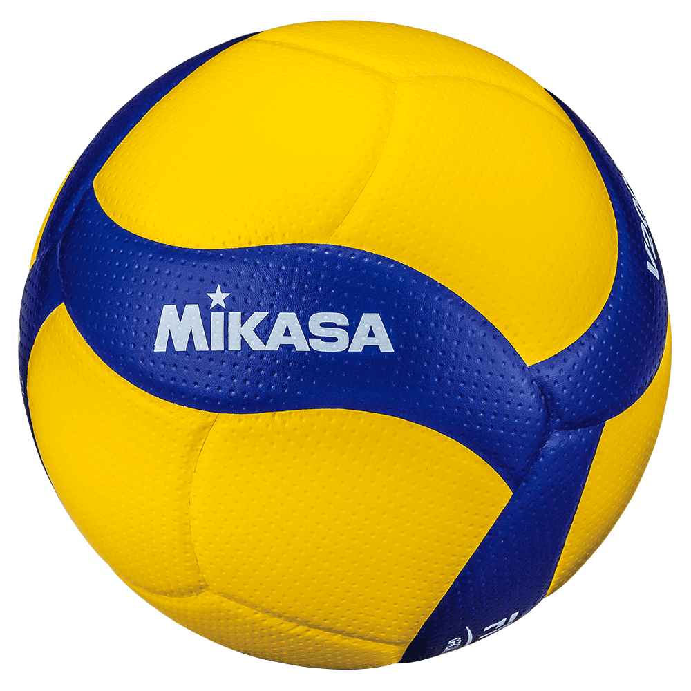 V200W Volleyball